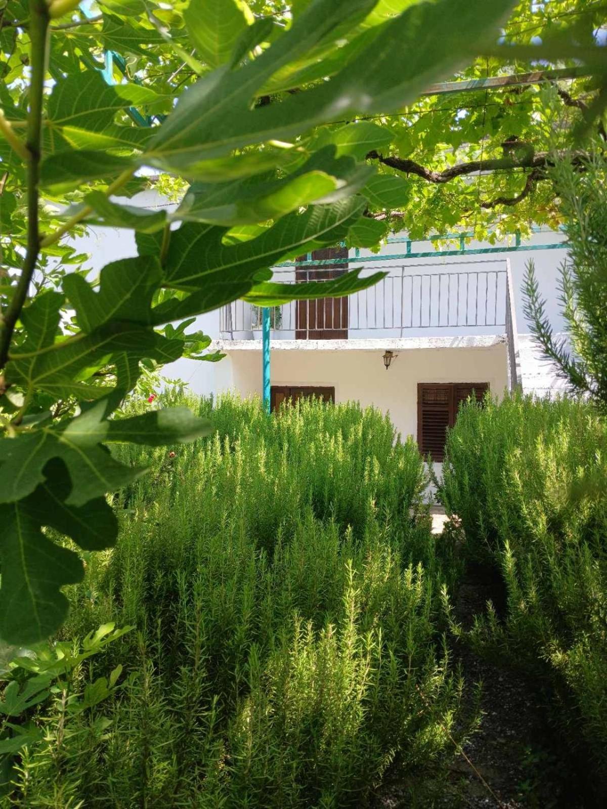 Etno House Mira Villa Virpazar Værelse billede