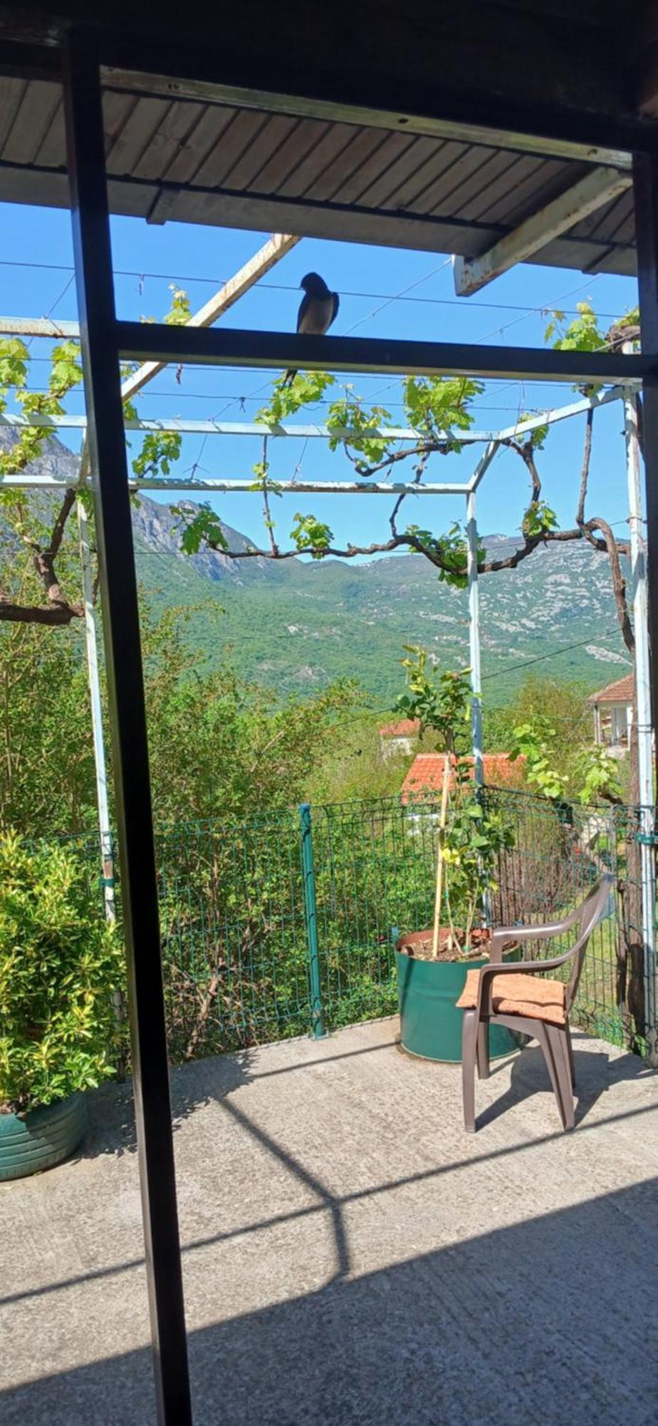 Etno House Mira Villa Virpazar Eksteriør billede